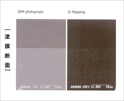 画像右側の白い斑点がすべて耐候成分